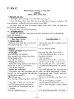 Giáo án các môn học khối 2 - Tuần thứ 13 năm 2010