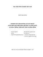 Nghiên cứu ảnh hưởng của kỹ thuật tưới nhỏ giọt đến sinh trưởng và năng suất cà chua trồng trên đất phù sa sông hồng  luận án tiến sĩ  kỹ thuật tài nguyên nước  62 58 02 12 