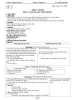 Giáo án môn Sinh học 7 tiết 24: Thực hành mổ và quan sát tôm sông