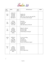 Giáo án Khối 1 - Tuần 31 - Năm học 2007-2008