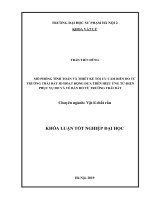 Mô phỏng tính toán và thiết kế tối ưu cảm biến đo từ trường trái đất 3d hoạt động dựa trên hiệu ứng từ   điện phục vụ đo và vẽ bản đồ từ trường trái đất 