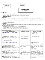 Giáo án môn Ngữ văn lớp 6 - Tiết số 111: Lòng yêu nước