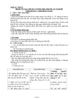 Giáo án môn Ngữ văn lớp 6 - Bài 20: Từ sau trưng vương đến trước Lý Nam Đế