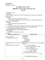 Bài giảng môn học Ngữ văn lớp 7 - Tuần 1 - Chủ đề 1: Bài tập thực hành tiếng Việt đại từ