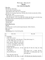 Giáo án môn Tập đọc lớp 3 - Tiết 136: Cây và hoa bên lăng Bác