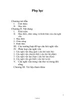 Sáng kiến kinh nghiệm Tìm hiểu về Câu nghi vấn