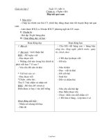 Giáo án Chính tả Lớp 2 - Tuần 33