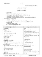 Giáo án Lớp 2 - Tuần 20 - Giáo viên: Nông Thị Nhâm