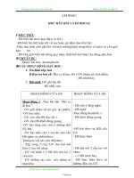 Giáo án Lớp 3 Tuần 4 - Trường TH Lộc Hòa