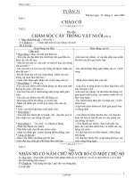 Giáo án Lớp 3 - Tuần 31 - Năm học 2008-2009 - Chương trình chuẩn