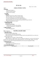 Giáo án các môn học lớp 2 - Trường Tiểu Học Cát Hiệp - Tuần thứ 34