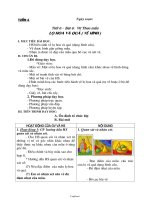 Giáo án Mỹ thuật 7 tuần 6: Vẽ theo mẫu lọ hoa và quả (vẽ hình)