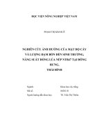 Nghiên cứu ảnh hưởng của mật độ cấy và lượng đạm bón đến sinh trưởng, năng suất dòng lúa nếp ntb47 tại đông hưng, thái bình   
