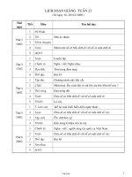 Giáo án Lớp 3 - Tuần 23 - Năm học 2009-2010 - Phạm Thị Trinh