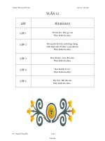 Giáo án lớp 1 đến lớp 5 môn Âm nhạc - Tuần 12