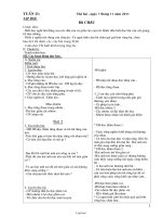 Giáo án tổng hợp lớp 3 - Tuần 11 năm 2011