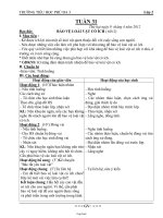 Thiết kế bài học khối 2 - Tuần số 31