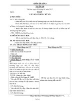 Giáo án lớp 3 - Tuần 19 - Trường Tiểu học Cẩm Thạch 1