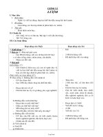 Giáo án lớp 2 môn Chính tả - Lượm