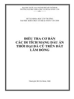 Điều tra cơ bản các di tích mang dấu ấn thời đại đá cũ trên đất lâm đồng    đề tài khoa học cấp trường đại học khoa học xã hội  nhân văn 2008  