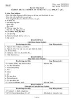 Giáo án Công nghệ Lớp 6 - Tiết 58, Bài 24: Thực hành Tỉa hoa trang trí món ăn từ một số loại rau, củ, quả - Năm học 2010-2011