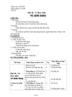Giáo án Mĩ thuật 8 - Tiết 18, Bài 18: Vẽ theo mẫu Vẽ chân dung - Năm học 2009-2010