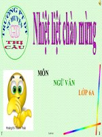 Bài giảng môn Ngữ văn 6 - Tiết 63: Tiếng Việt: Tính từ và cụm tính từ