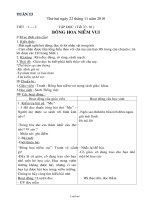 Giáo án các môn học lớp 2 - Tuần thứ 13 năm 2010