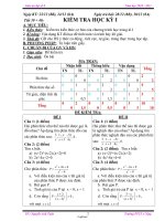 Giáo án Đại số 8 - Tiết 39-40: Kiểm tra học kỳ I - Năm học 2010-2011 - Nguyễn Anh Tuân