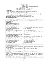 Giáo án Lớp 2 tuần 33 - Trường Tiểu học Phan Bội Châu