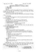 Giáo án Lịch sử 7 tuần 11