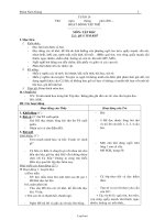 Giáo án các môn lớp 2 - Học kì II - Tuần 24