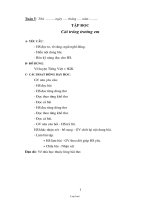 Thiết kế bài dạy tổng hợp các môn lớp 2 - Tuần 5