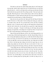 Tiểu luận Nâng cao hiệu quả hoạt động học của học viên nhà trường quân đội hiện nay