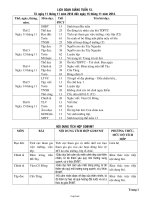 Giáo án tổng hợp Tuần 13 Lớp 3