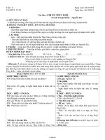Giáo án Ngữ văn Lớp 9 - Tiết 27+28: Chị em Thúy Kiều (Trích Truyện Kiều - Nguyễn Du) - Năm học 2012-2013