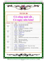 Giáo án lớp 3 - Tuần 28 - Trường tiểu học Hoài Phú