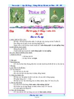 Giáo án Lớp 1 – Tuần 20 - GV: Ngọc Thị Giang – Trường Tiểu học Thị trấn An Châu