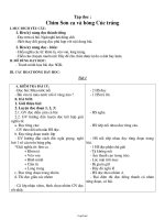 Thiết kế bài dạy lớp 2 - Tuần 21 năm học 2011