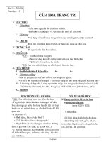 Giáo án Công nghệ Khối 6 - Tiết 29: Cắm hoa trang trí