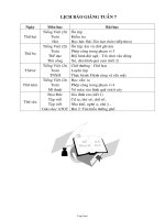 Giáo án dạy Khối 5 - Tuần 6