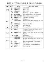 Thiết kế giáo án Tổng hợp khối 2 - Tuần 23 năm học 2009