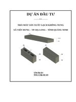 TIỂU LUẬN NHÀ MÁY SẢN XUẤT GẠCH KHÔNG NUNG (MÔN ĐẦU TƯ QUỐC TẾ)
