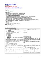 Giáo án Tự nhiên và xã hội - Tuần 25: Một số loài cây sống trên cạn