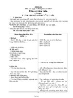 Kế hoạch bài dạy khối 2 - Tuần 16