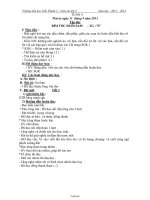 Giáo án các môn khối 2 - Tuần học 4 - Trường tiểu học Tiến Thành 2