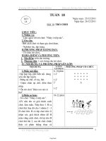 Giáo án Thể dục lớp 1 học kì II - Trường TH Nguyễn Bỉnh Khiêm