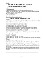 Giáo án Tự chọn lớp 8 môn Ngữ văn - Cả năm