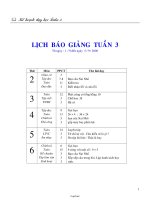 Giáo án Vật lý 6 - Tiết 12 - Bài 12: Thực hành xác định khối lượng riêng của sỏi