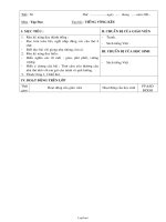 Giáo án Tập đọc - Tiết 56: Tiếng võng kêu